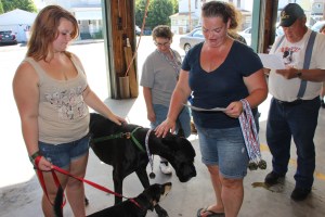 Pet Show via Coaldale VFW Auxiliary, Coaldale Fire Company, Coaldale, 9-28-2014 (117)