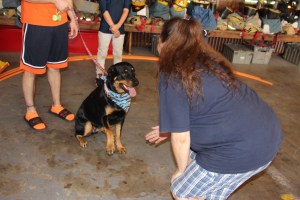 Pet Show via Coaldale VFW Auxiliary, Coaldale Fire Company, Coaldale, 9-28-2014 (122)