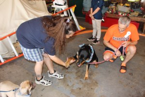 Pet Show via Coaldale VFW Auxiliary, Coaldale Fire Company, Coaldale, 9-28-2014 (123)