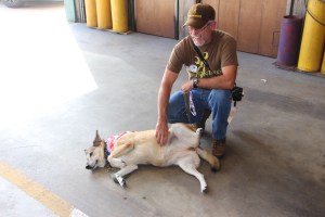 Pet Show via Coaldale VFW Auxiliary, Coaldale Fire Company, Coaldale, 9-28-2014 (124)
