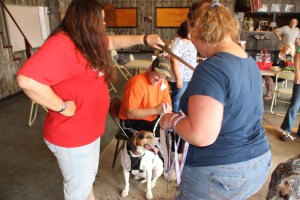 Pet Show via Coaldale VFW Auxiliary, Coaldale Fire Company, Coaldale, 9-28-2014 (127)