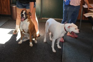 Pet Show via Coaldale VFW Auxiliary, Coaldale Fire Company, Coaldale, 9-28-2014 (28)