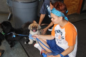 Pet Show via Coaldale VFW Auxiliary, Coaldale Fire Company, Coaldale, 9-28-2014 (47)