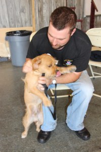 Pet Show via Coaldale VFW Auxiliary, Coaldale Fire Company, Coaldale, 9-28-2014 (59)