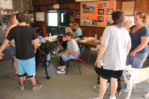 Pet Show via Coaldale VFW Auxiliary, Coaldale Fire Company, Coaldale, 9-28-2014 (63)