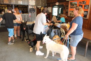 Pet Show via Coaldale VFW Auxiliary, Coaldale Fire Company, Coaldale, 9-28-2014 (66)