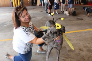 Pet Show via Coaldale VFW Auxiliary, Coaldale Fire Company, Coaldale, 9-28-2014 (76)