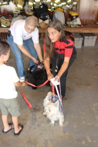 Pet Show via Coaldale VFW Auxiliary, Coaldale Fire Company, Coaldale, 9-28-2014 (82)
