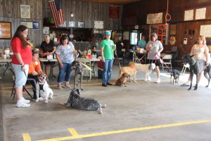 Pet Show via Coaldale VFW Auxiliary, Coaldale Fire Company, Coaldale, 9-28-2014 (98)