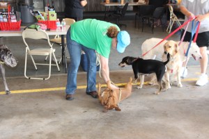 Pet Show via Coaldale VFW Auxiliary, Coaldale Fire Company, Coaldale, 9-28-2014 (99)