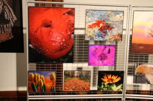 Photography Gallery, Darker Side of The Lens, via Tom, Thomas Applegate, TCAC (24)