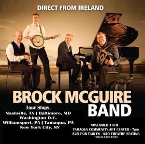 11-14-2014, Brock McGuire Band, TCAC, Tamaqua (3)