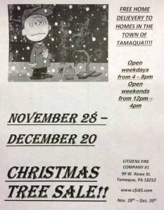 11-28-2014, Christmas Tree Sale, Citizen's Fire Company, Tamaqua