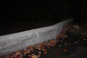 Eagle Ceremony for Michael DeWald, Bethany United Methodist Church, Barnesville, Rush Twp, 10-30-2014 (58)