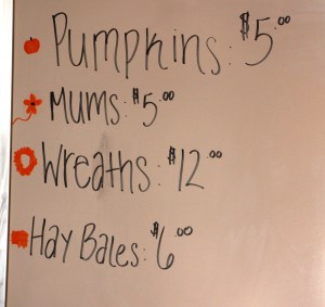 Fire Company Fall Fun Fest Volunteers, Pumpkins, Coaldale Fire Company, Coaldale, 10-26-2014 (12)