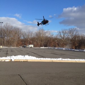 from Wandie Zammer Little 