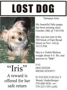 Missing Iris, Wendy Dunkelberger