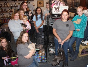 Pawsitively Purrfect Rescue Adoption Clinic, Mum's The Word, Tamaqua, 11-22-2014 (16)