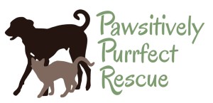Pawsitively Purrfect Rescue LOGO