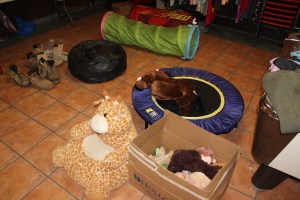 Pre ACS Yard Sale Fundraiser, East End Fire Company, Tamaqua, 11-7-2014 (2)