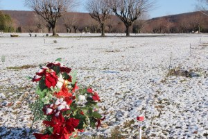 Snow on Ground, Cemetery, Sky-View Memorial Park, Hometown, 11-14-2014 (53)