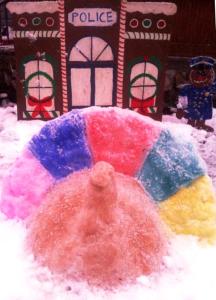 Snow Turkey, from Angela Krapf, Bull Run, Seek, Coaldale, 11-27-2014