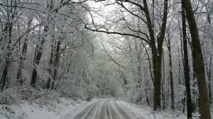 Special to TamaquaArea.com/Jennifer Sloboda