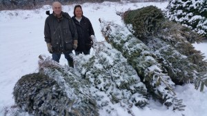 Donation of Christmas Trees, Schroeder's Tree Farm, Family Farm, Barnesville, 12-11-2014 (21)