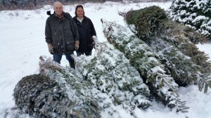 Donation of Christmas Trees, Schroeder's Tree Farm, Family Farm, Barnesville, 12-11-2014 (21)