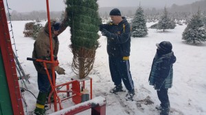 Donation of Christmas Trees, Schroeder's Tree Farm, Family Farm, Barnesville, 12-11-2014 (4)