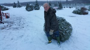 Donation of Christmas Trees, Schroeder's Tree Farm, Family Farm, Barnesville, 12-11-2014 (40)
