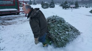 Donation of Christmas Trees, Schroeder's Tree Farm, Family Farm, Barnesville, 12-11-2014 (42)