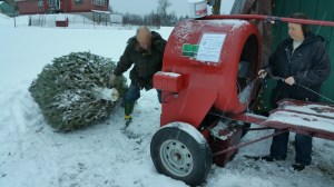 Donation of Christmas Trees, Schroeder's Tree Farm, Family Farm, Barnesville, 12-11-2014 (43)