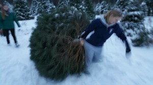 Donation of Christmas Trees, Schroeder's Tree Farm, Family Farm, Barnesville, 12-11-2014 (61)