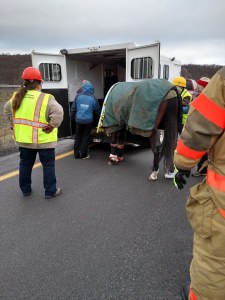 Horse Rescue, Interstate 81, Schuylkill County, 12-19-2014 (13)