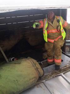 Horse Rescue, Interstate 81, Schuylkill County, 12-19-2014 (2)