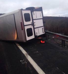 Horse Rescue, Interstate 81, Schuylkill County, 12-19-2014 (3)