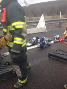 Horse Rescue, Interstate 81, Schuylkill County, 12-19-2014 (7)