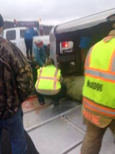 Horse Rescue, Interstate 81, Schuylkill County, 12-19-2014 (9)