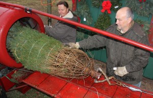 Pre Story, Schroeder Family Farms, Barnesville, Donates Christmas Trees, Barnesville FILE PHOTO