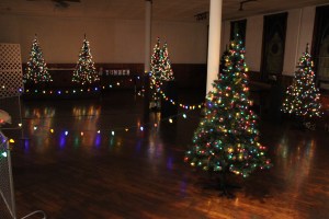 Pre Tree Festival, Christmas, Community Arts Center, Tamaqua, 12-2-2014 (11)