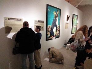 Scout Day, Tamaqua Boy, Cub Pack 777, Reading Public Museum, Reading (44)