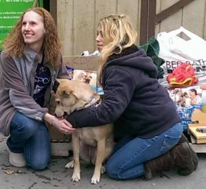 Special to TamaquaArea.com/Pictured with donations are Rachel Stahl, left, and Cindy Vidal-King, employee at Hillside SPCA. Also pictured is Snickers, a 10-month-old shepherd lab mix. 