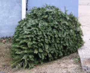 TamaquaArea.com File Photo