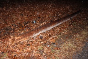 Unocuppied Crashed Jeep into Woods, Old Route 209, Schuylkill Township, 12-9-2014 (25)