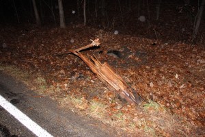 Unocuppied Crashed Jeep into Woods, Old Route 209, Schuylkill Township, 12-9-2014 (31)