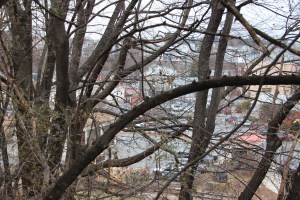 Before and After, Train, Pine and Railroad Street, Tamaqua (71)
