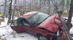 Car Crashes into Tree, from Justin Martinson, US209, Tamaqua, 1-24-2015 (3)
