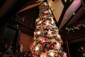 Christmas Tree Lighting Display, Program, Stonehedge Gardens, South Tamaqua, 1-11-2015 (138)