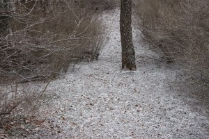 Coating, Dusting of Snow, Dutch Hill, Tamaqua, 1-20-2015 (8)